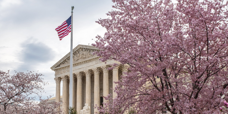 Supreme Court and Cherry Blossoms