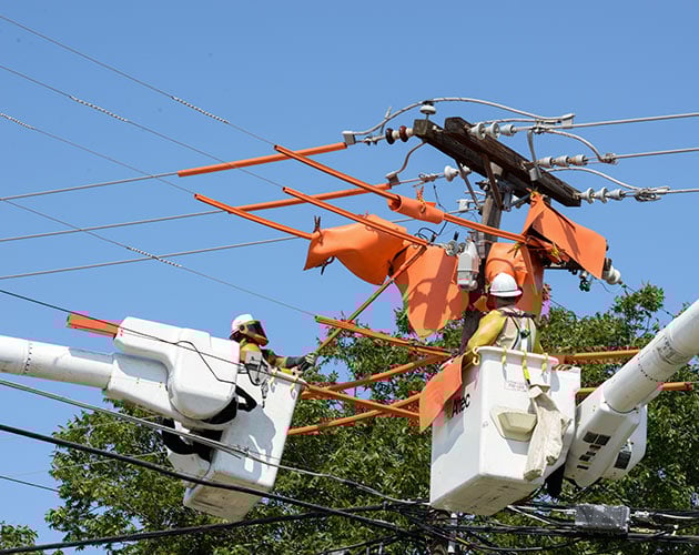 two linemen in bucket of a truck grounding cables for a tripsaver fuse with trees in the background and clear blue sky lateral protection, install lateral protection, tripsaver, tripsaver 2, installing tripsaver